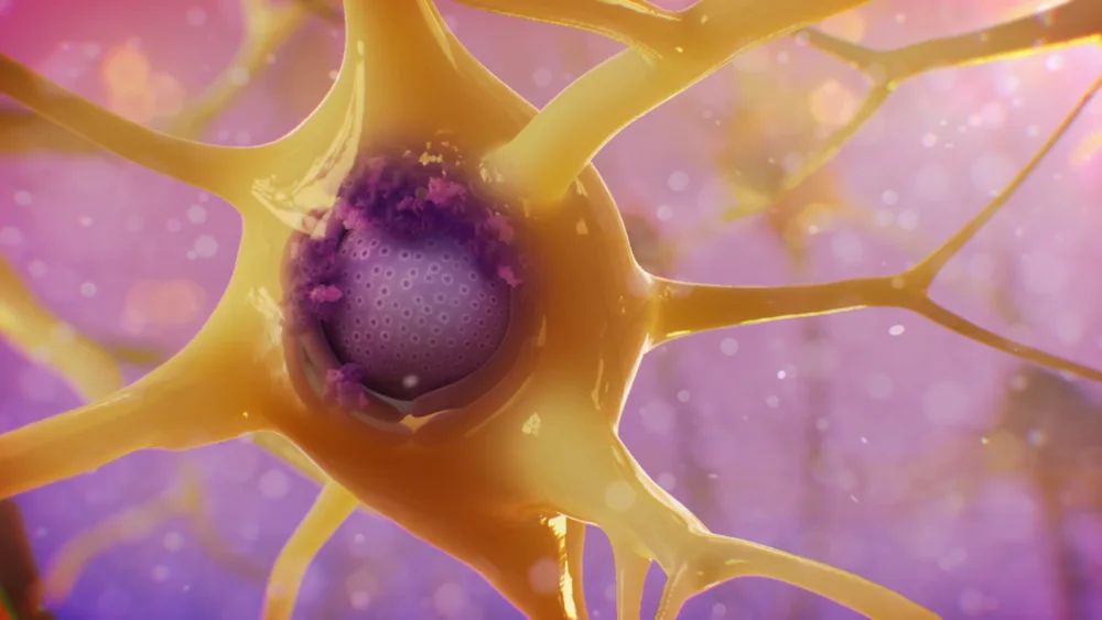 A golden neuron with a purple nucleus in a luminous pink cellular environment