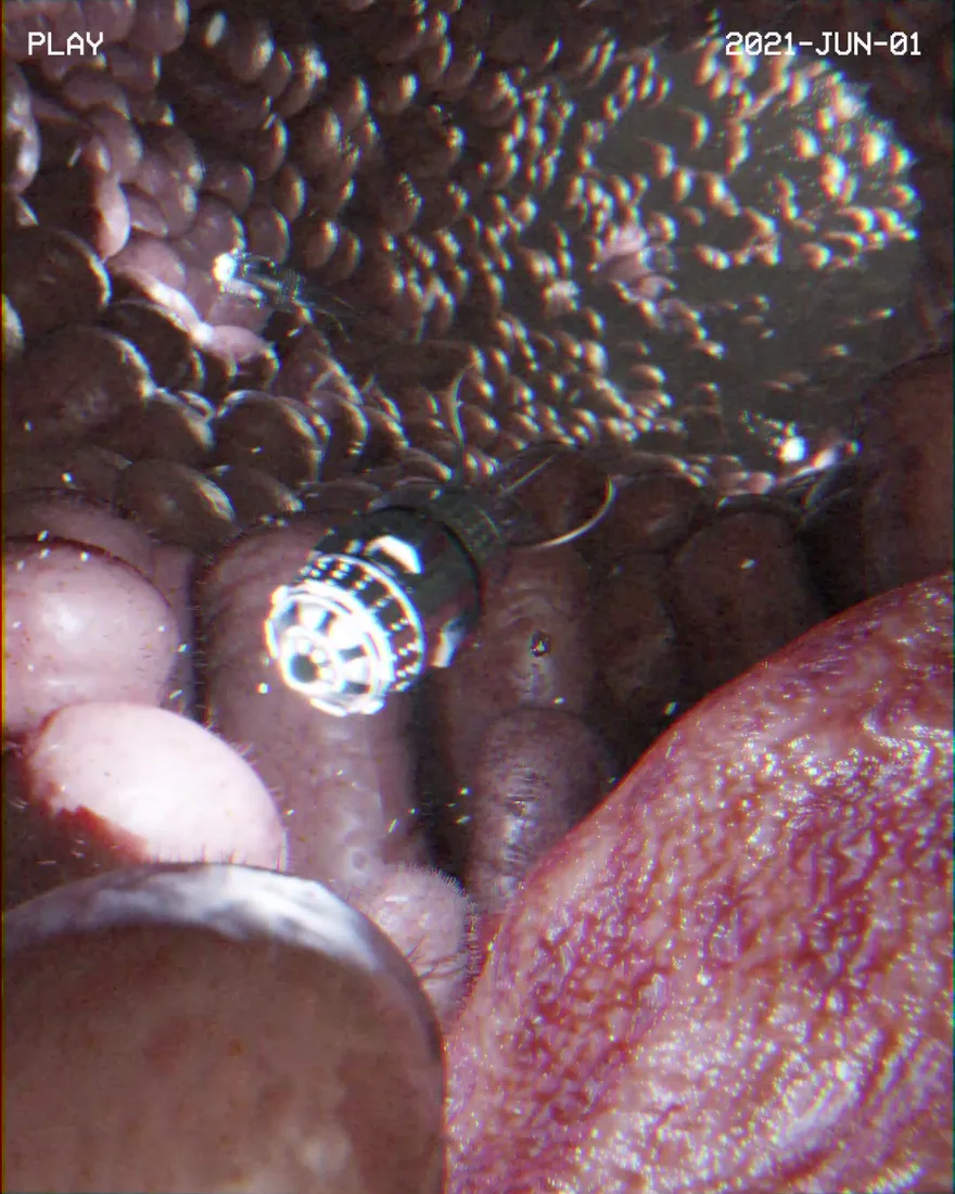 A scientific visualization of a synthetic bacterium moving through a biological environment