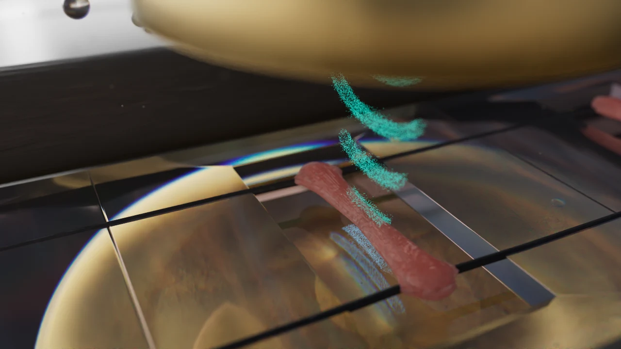 A close view of the tissue chamber and the transducer above it